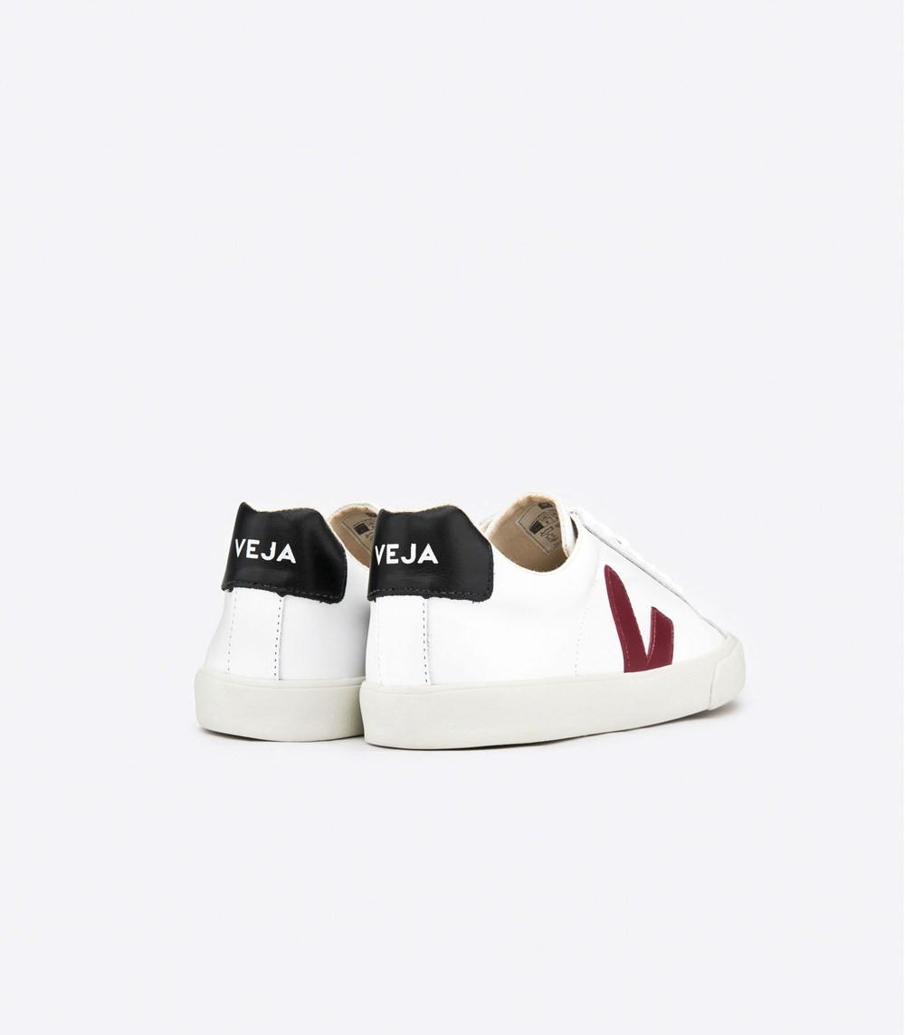 Veja Sneakers Dama - Esplar Piele - Albi - 7968214-VW